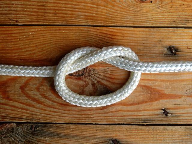 forEach loop JavaScript
